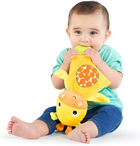 Snuggle & Teethe BPA-Free Crinkle Teething Plush Baby Toy